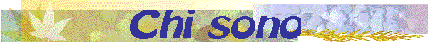 Chi sono