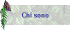 Chi sono