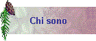 Chi sono