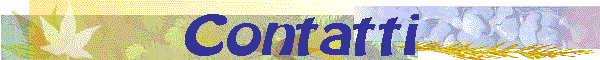 Contatti