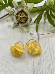 CREOLE CON CHIFFON GIALLO